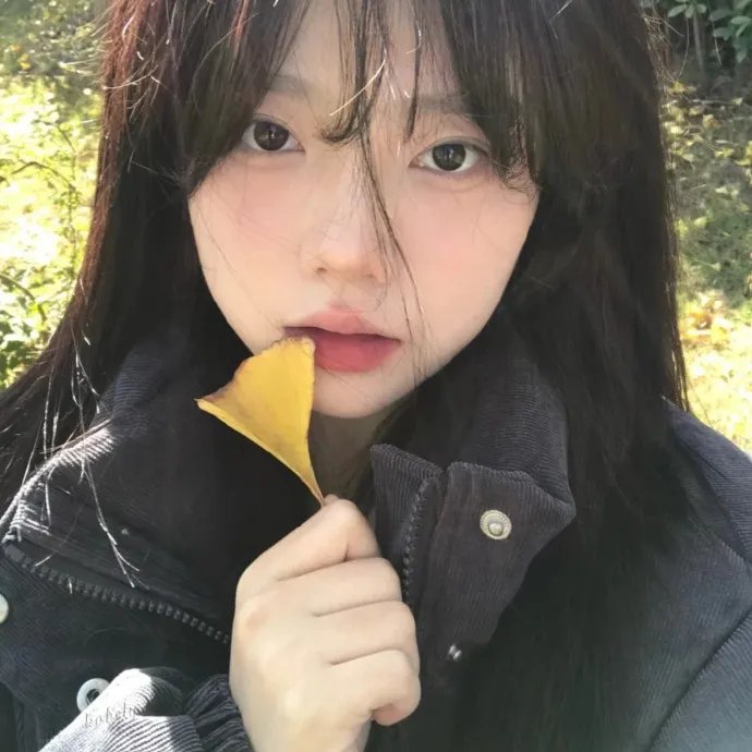 全面追缉