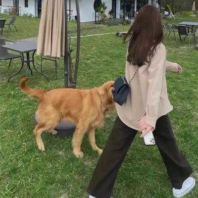 惹火女色狼